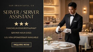 Server / Server Assistant
