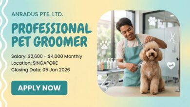 Pet Groomer