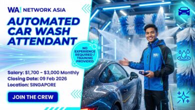 Automated Car Wash Attendant