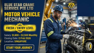 MOTOR VEHICLE MECHANIC