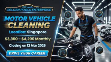 Motor Vehicle Cleaning