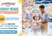 Kiddy Ride Attendant