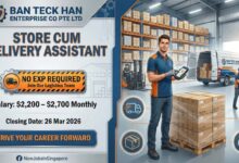 Store cum delivery assistant